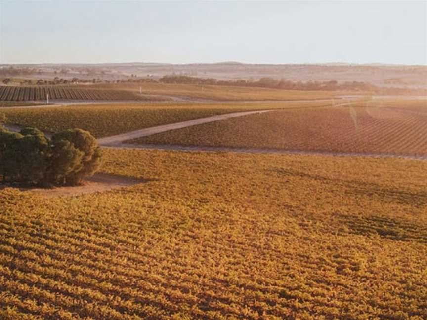 Taylors, Auburn, South Australia