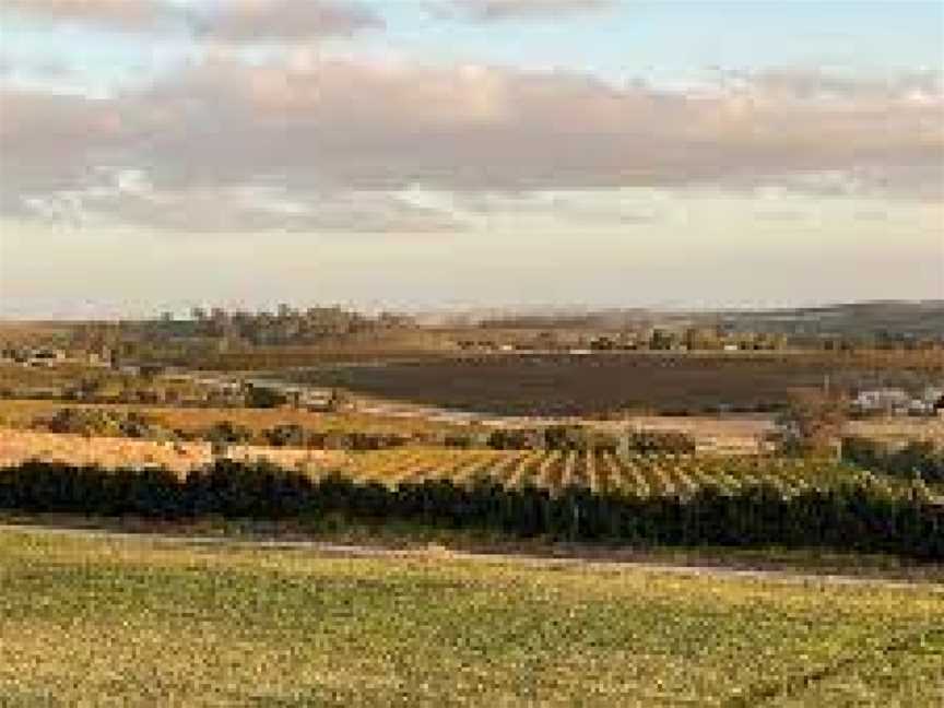 Tim McNeil Wines, Watervale, South Australia