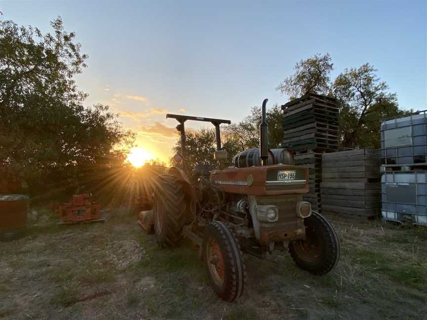 Tim McNeil Wines, Watervale, South Australia