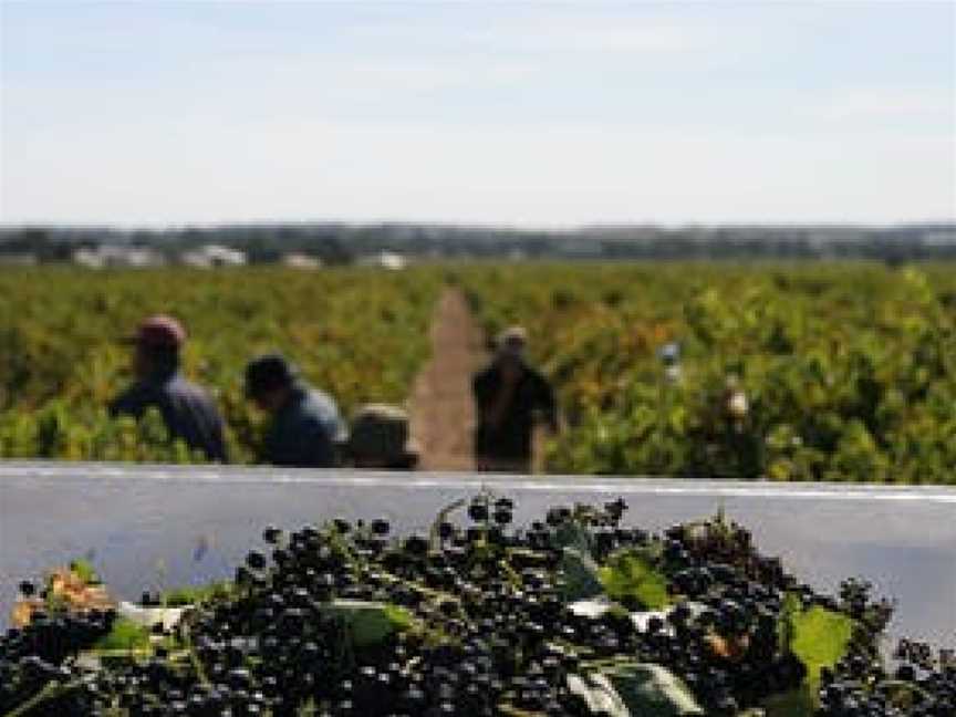 Troll Creek Wines, Bethany, South Australia