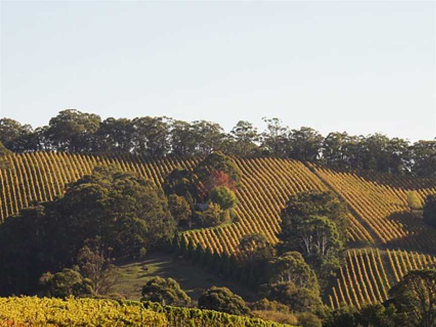 Whisson Lake, Wineries in Carey Gully