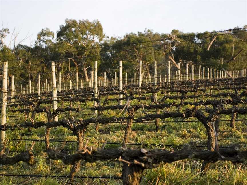 Wines by Geoff Hardy, Kuitpo, South Australia