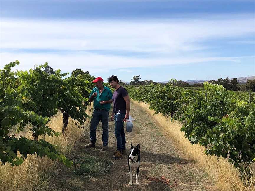 The Story Wines, Wineries in Bangholme