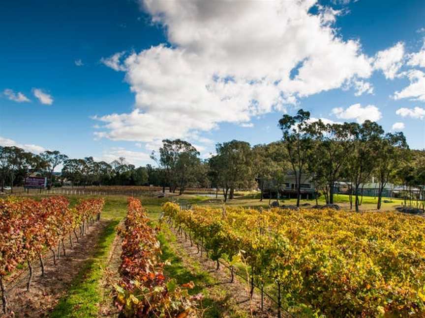 Banca Ridge Cellar Door and Vineyard, Wineries in Stanthorpe