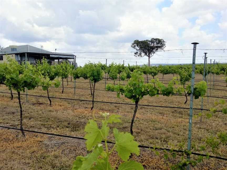 Barambah Cellars, Redgate, Queensland