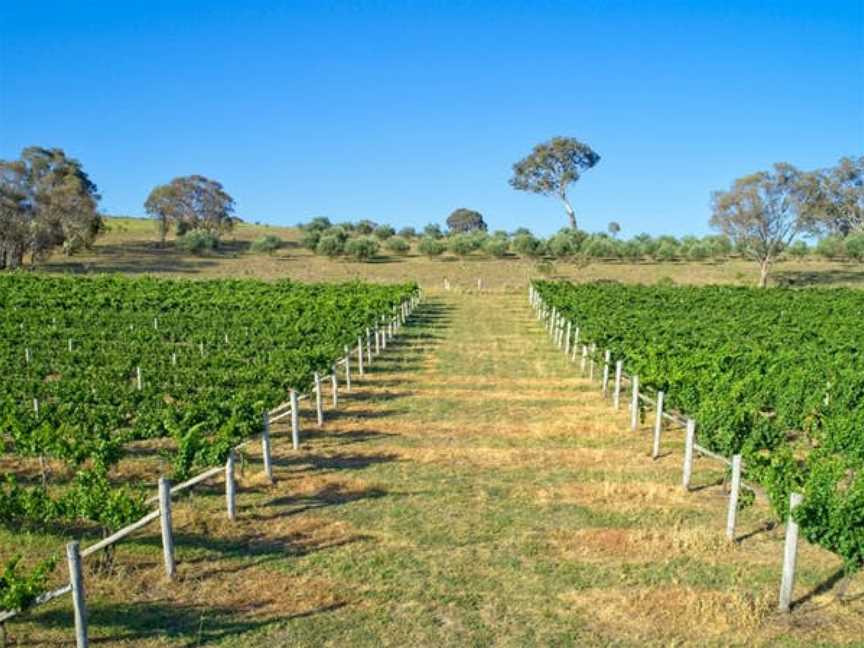 Barton Estate, Wineries in Murrumbateman