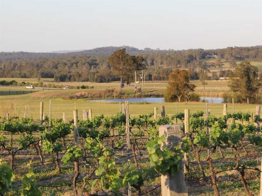 Blueberry Hill Vineyard Cellar Door, Wineries in Pokolbin