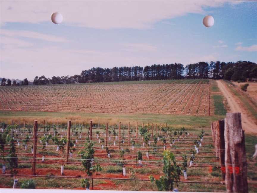 Boree Lane Wines, Lidster, New South Wales