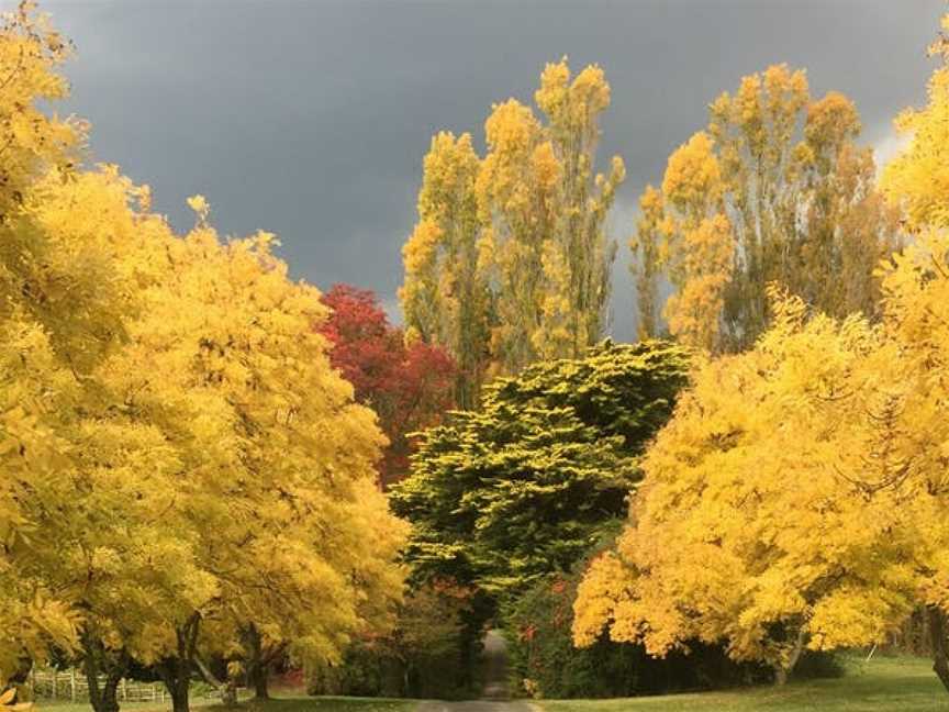 Brangayne of Orange, Orange, New South Wales