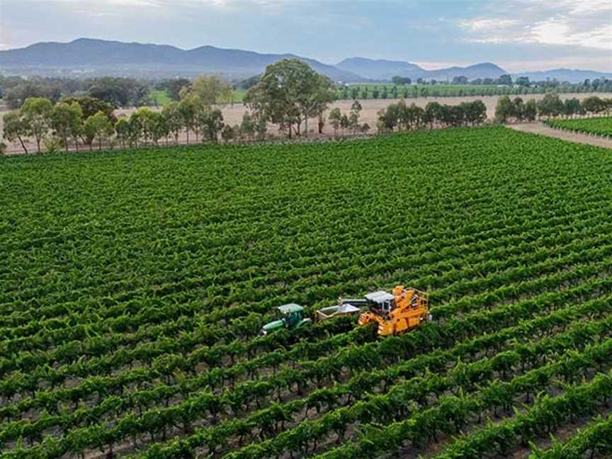 Bunnamagoo Estate, Mudgee, New South Wales