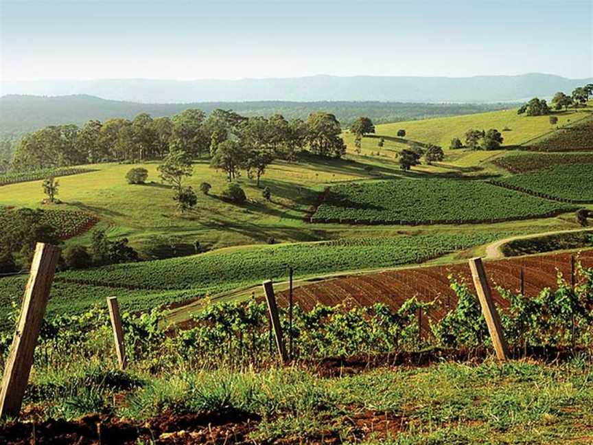 Carillion Wines, Wineries in Mount View