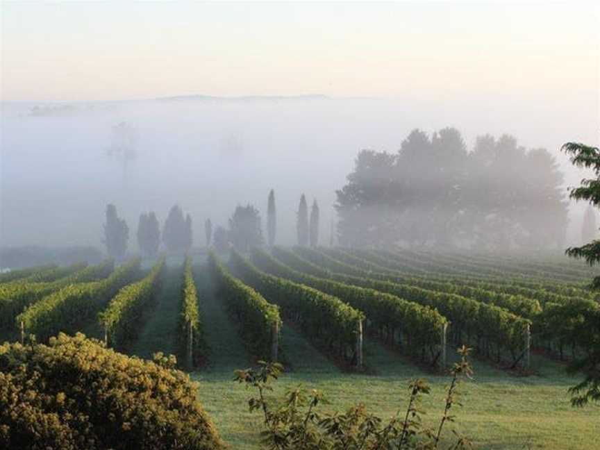 Cherry Tree Hill, Wineries in Sutton Forest