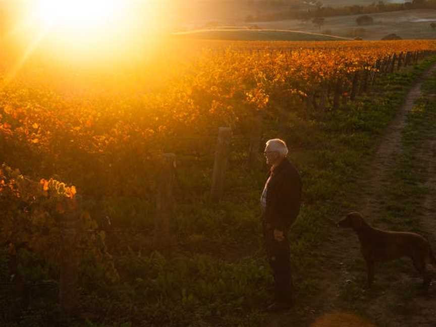 HOOSEGG by Philip Shaw, Wineries in Orange