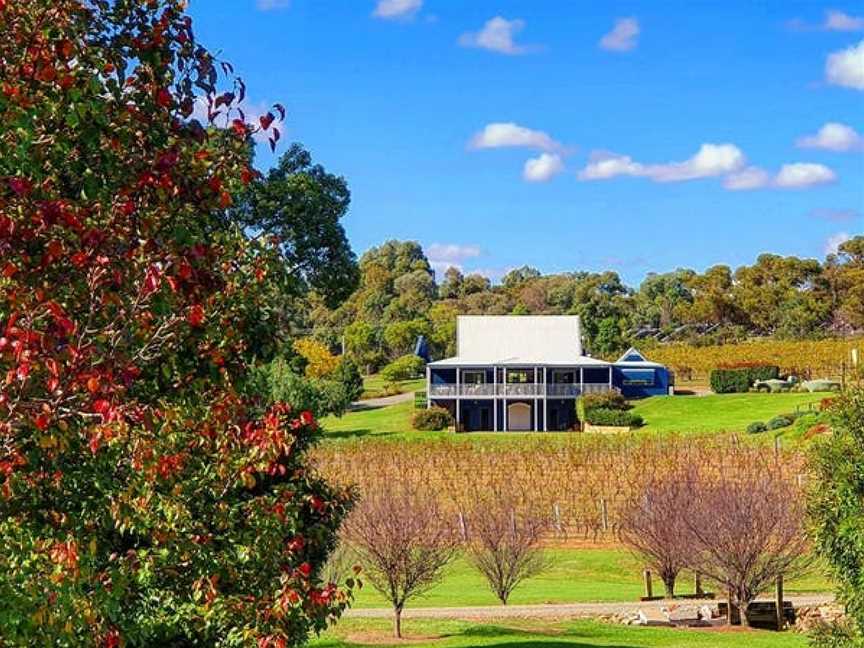 Ivanhoe Wines, Pokolbin, New South Wales