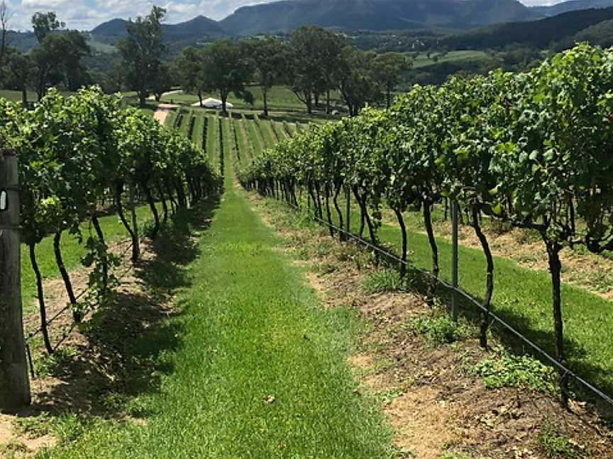 Megalong Creek Estate, Megalong Valley, New South Wales