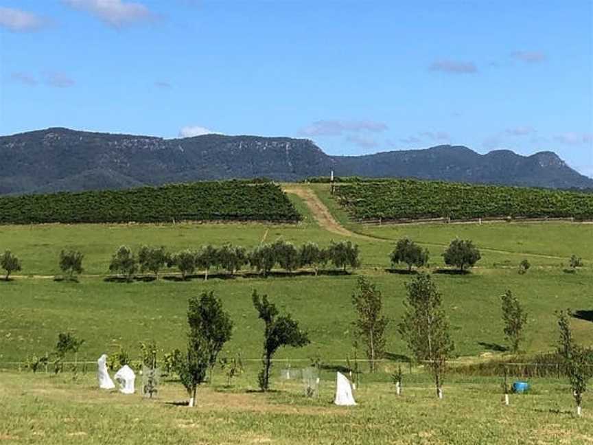 Mira Wines, Wineries in Pokolbin