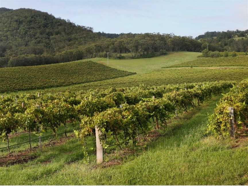 Mount Pleasant, Wineries in Pokolbin