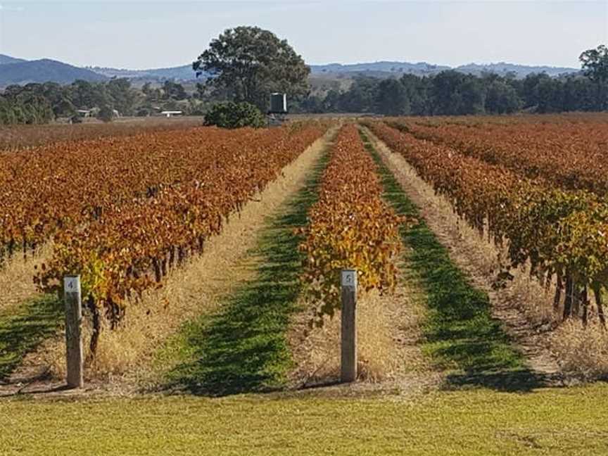 Petersons of Mudgee, Wineries in Eurunderee