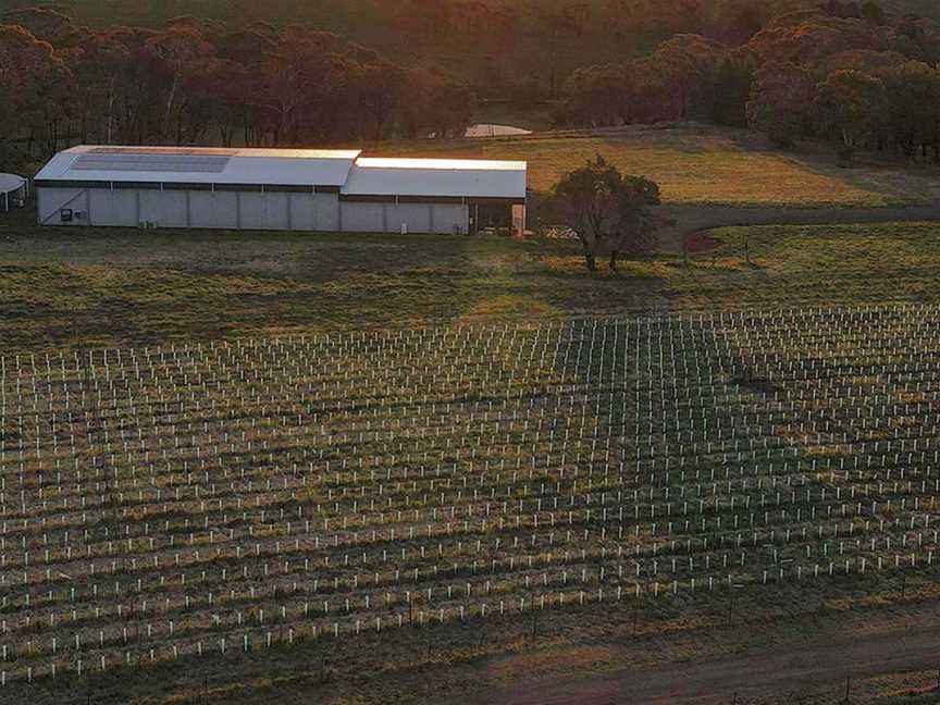 RIKARD Wines, Nashdale, New South Wales