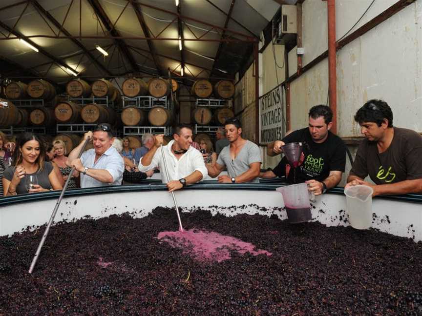 Robert Stein Vineyard, Mudgee, New South Wales