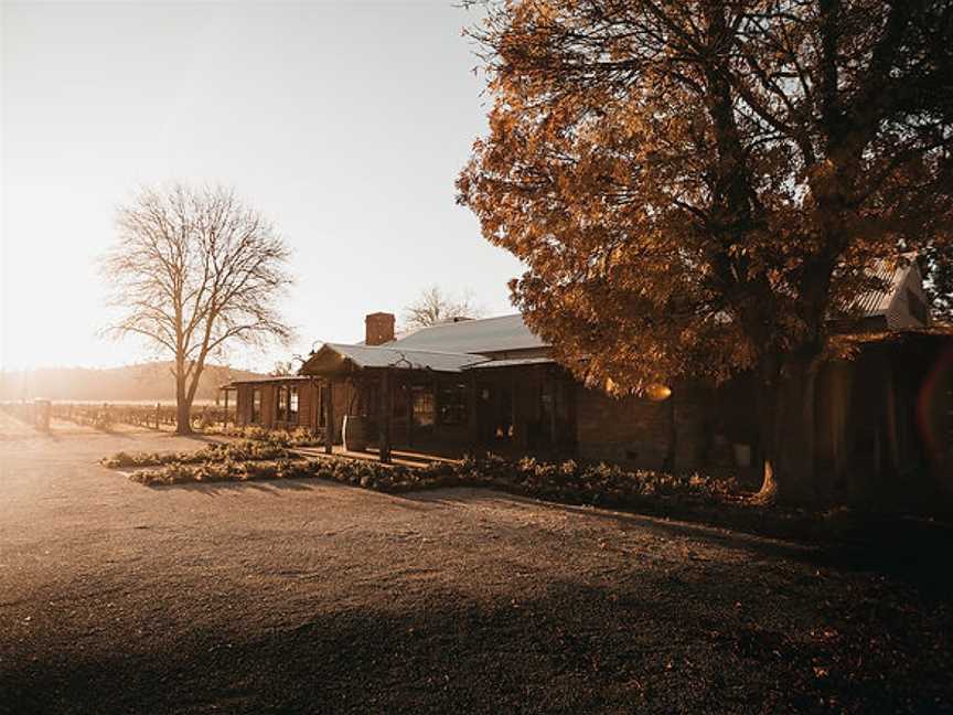 The Wild Vine, Wagga Wagga, New South Wales