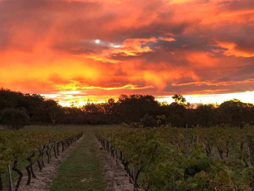 Bungawarra, Wineries in Ballandean