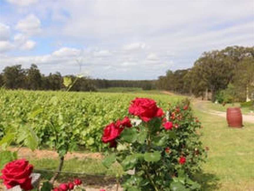 Tintilla Wines, Pokolbin, New South Wales