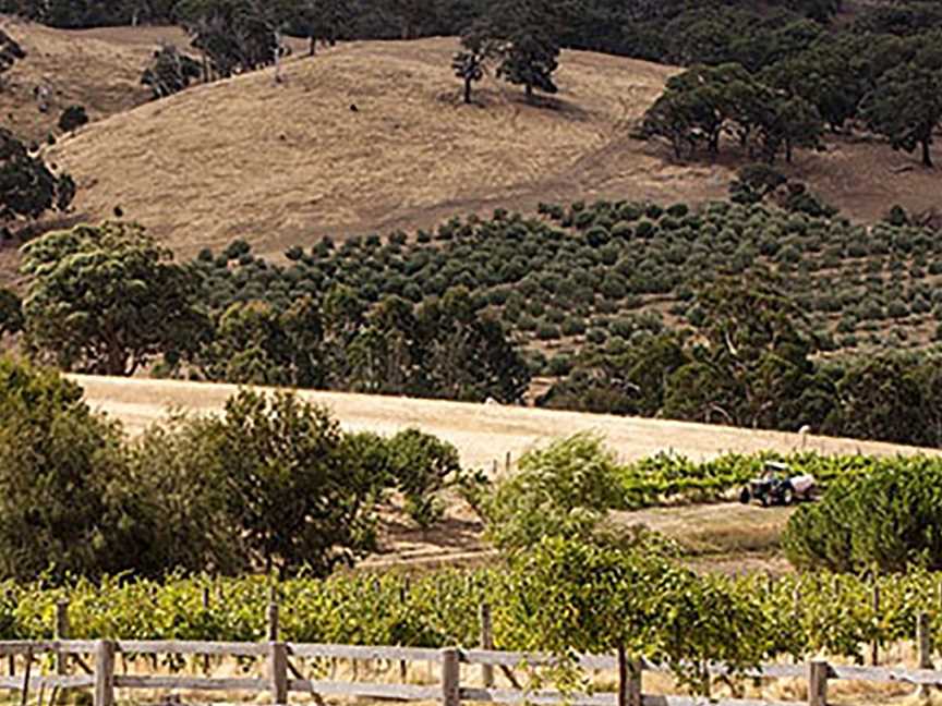 McIvor Estate, Wineries in Tooborac