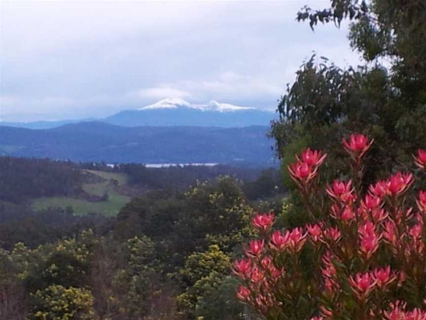 Hartzview Vineyard, Gardners Bay, Tasmania