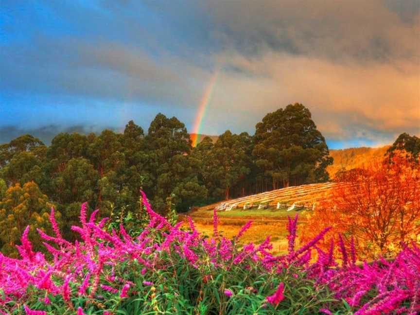 Hartzview Vineyard, Gardners Bay, Tasmania