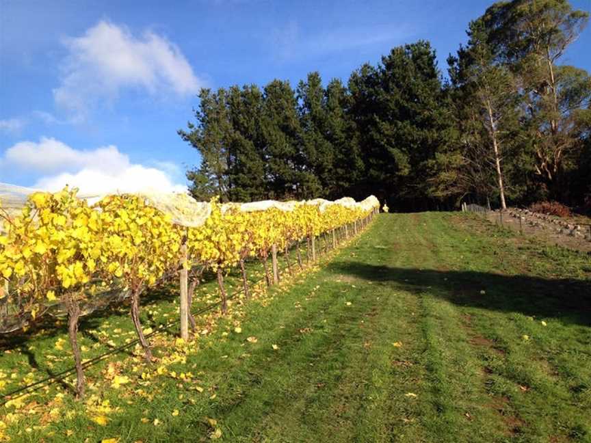 Leven Valley Vineyard, Gunns Plains, Tasmania