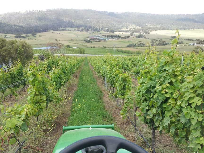 Pressing Matters, Tea Tree, Tasmania