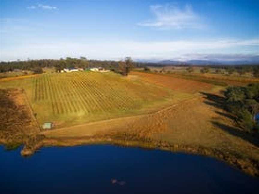 Priory Ridge Vineyard and  Cellar Door, Wineries in St Helens