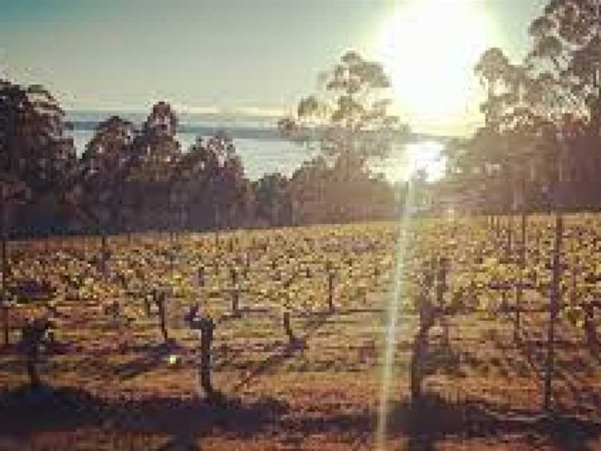 Resolution Vineyard, MIddleton, Tasmania