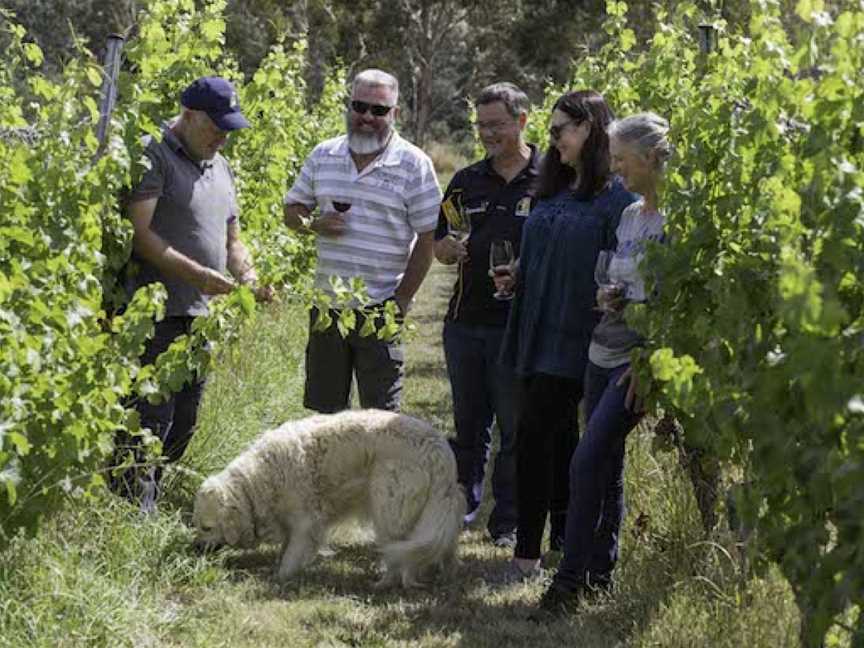 Wobbly Boot Vineyard, Campania, Tasmania