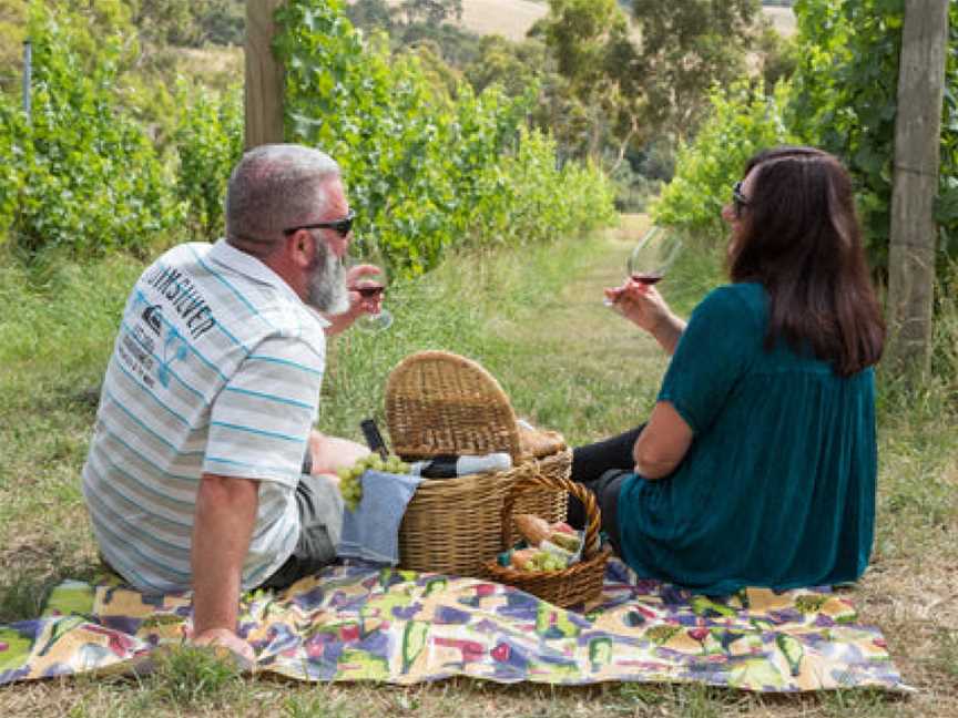 Wobbly Boot Vineyard, Campania, Tasmania