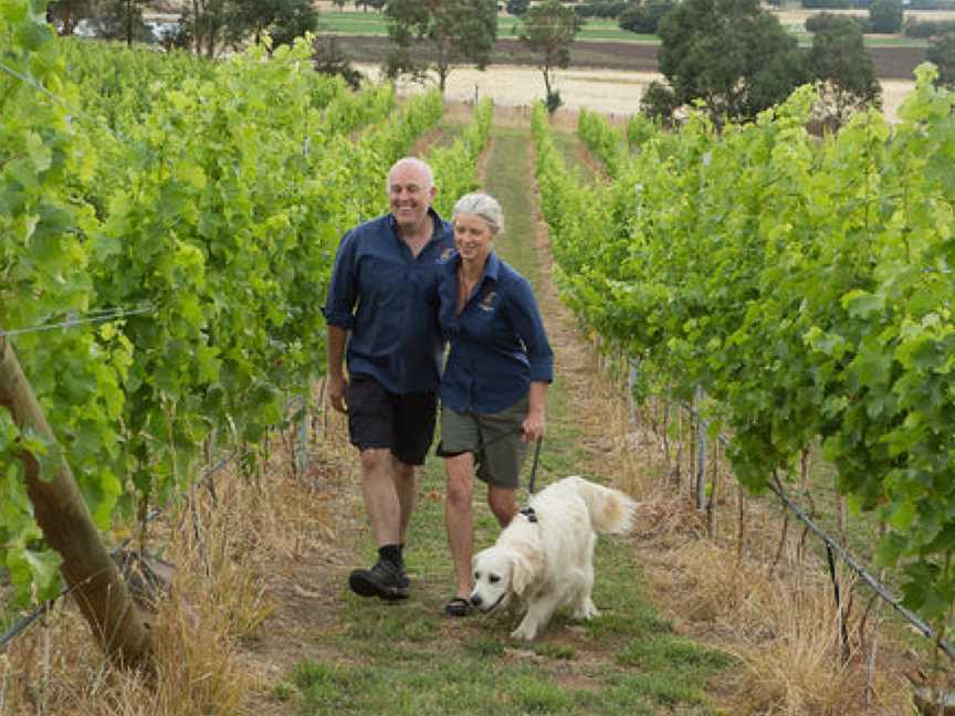 Wobbly Boot Vineyard, Wineries in Campania