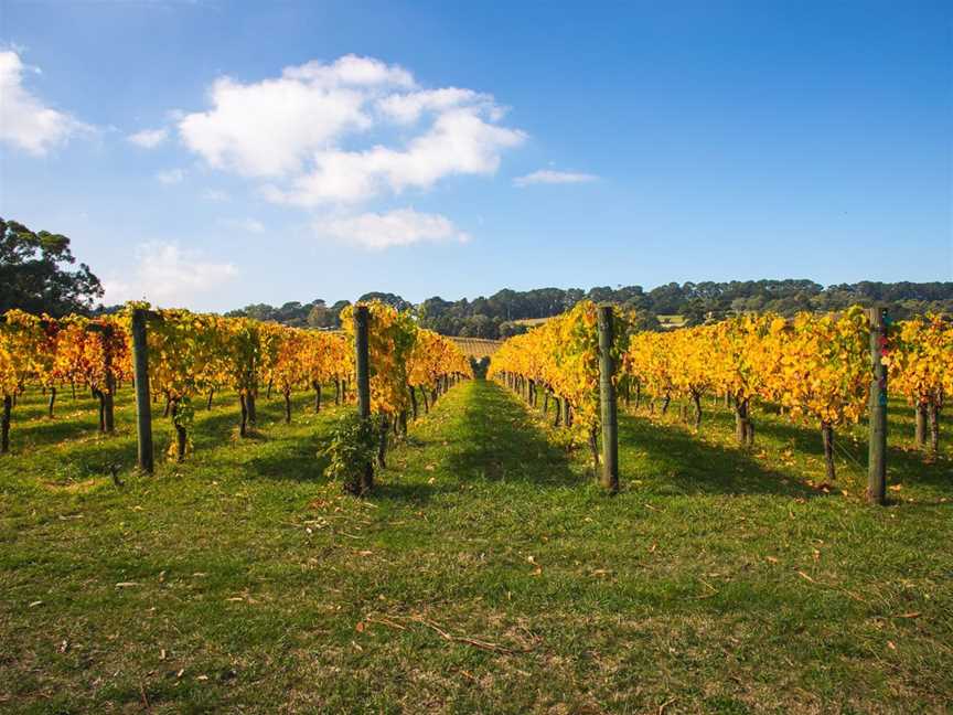 Bellingham Estate, Wineries in Arthurs Seat