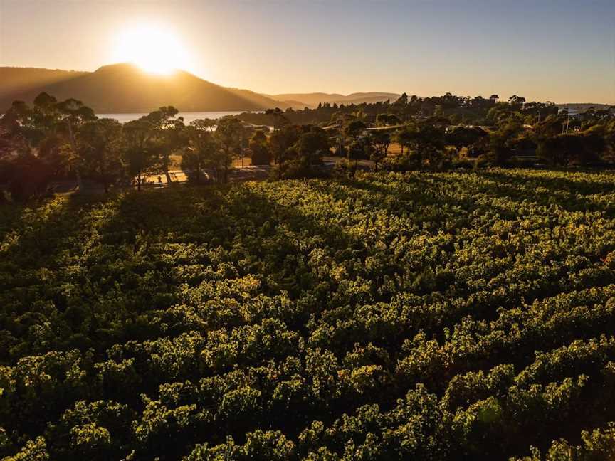 Lowestoft, Wineries in Berriedale