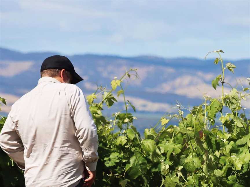 Jericho Wines, Wineries in McLaren Vale