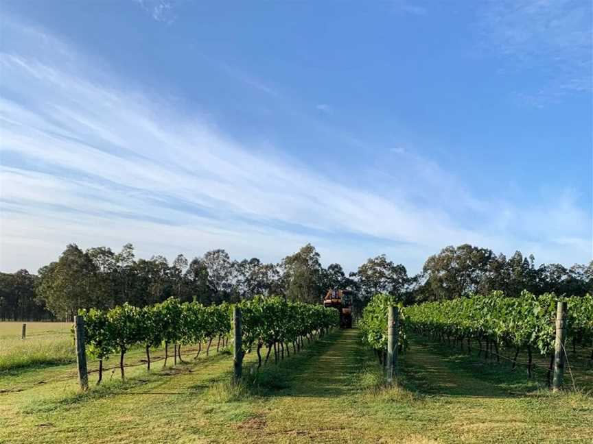 Racecourse Lane Wines, Wineries in Pokolbin