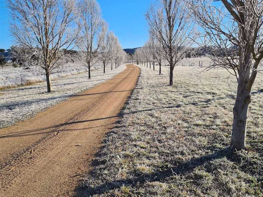 Elephant Mountain Wines, Wineries in Buckaroo