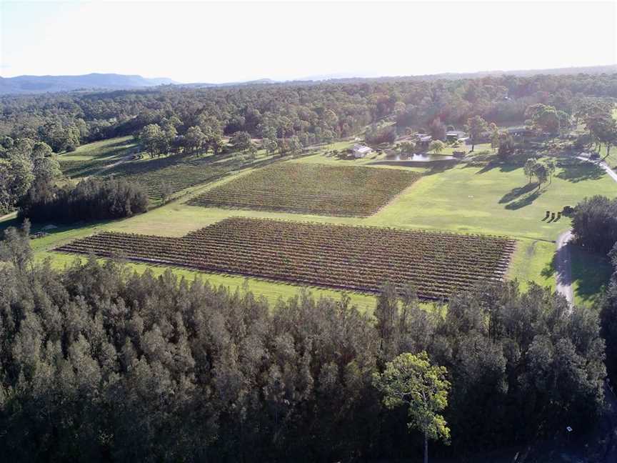 Wombat Crossing Vineyard, Wineries in Pokolbin