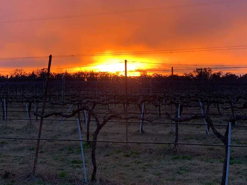 Casley Mount Hutton Winery, Wineries in Stanthorpe