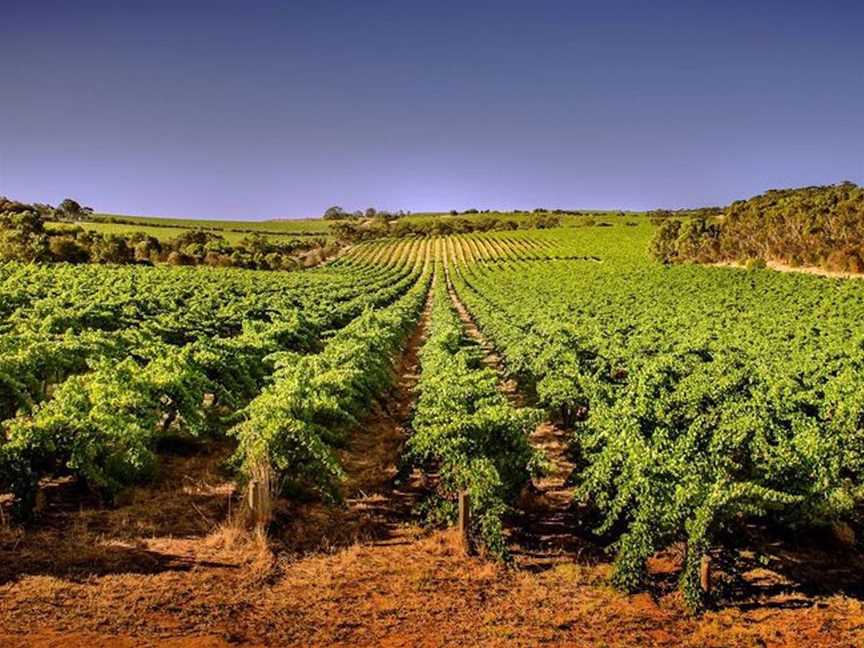 Zerella Wines, Wineries in McLaren Vale