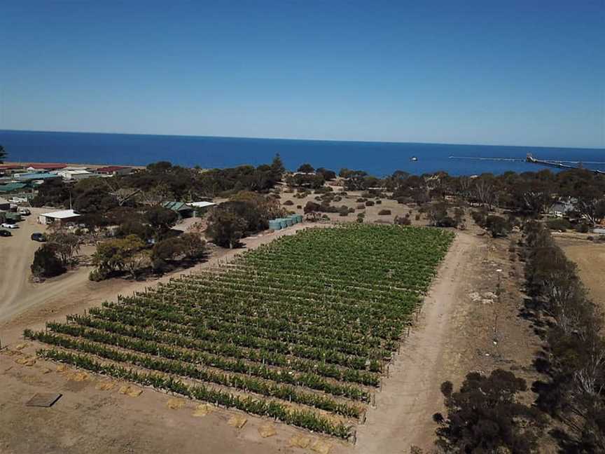 Emoyeni Wines, Wineries in Ardrossan