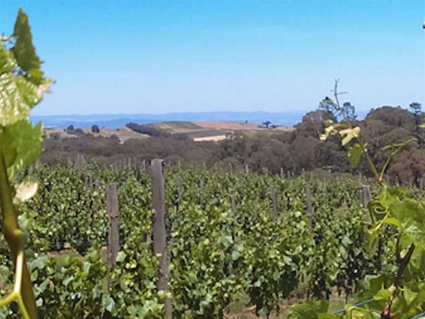 Willem Kurt Wines, Wineries in Beechworth