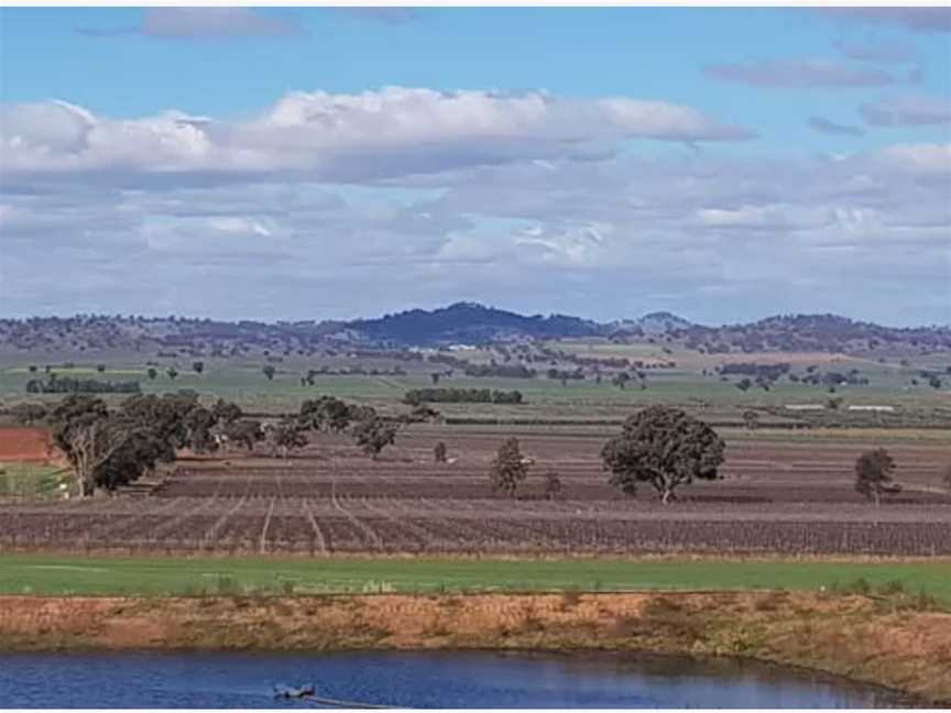 Windowrie Estate, Wineries in Canowindra