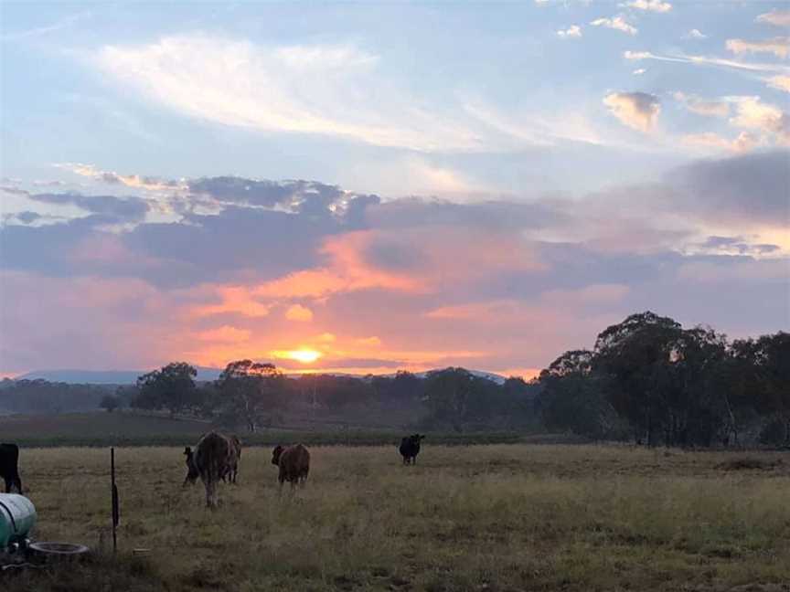 Splitters Swamp Vineyards, Wineries in Bolivia