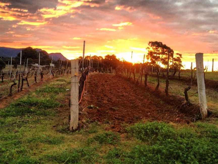 Lake's Folly, Wineries in Pokolbin